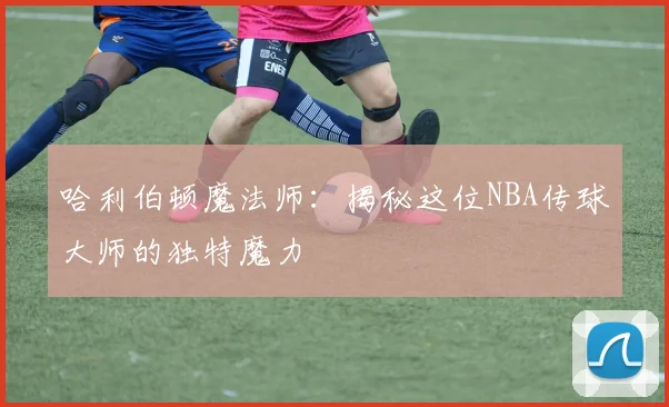 哈利伯顿魔法师：揭秘这位NBA传球大师的独特魔力